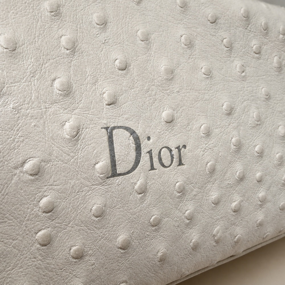 Dior Small Toujours Bag